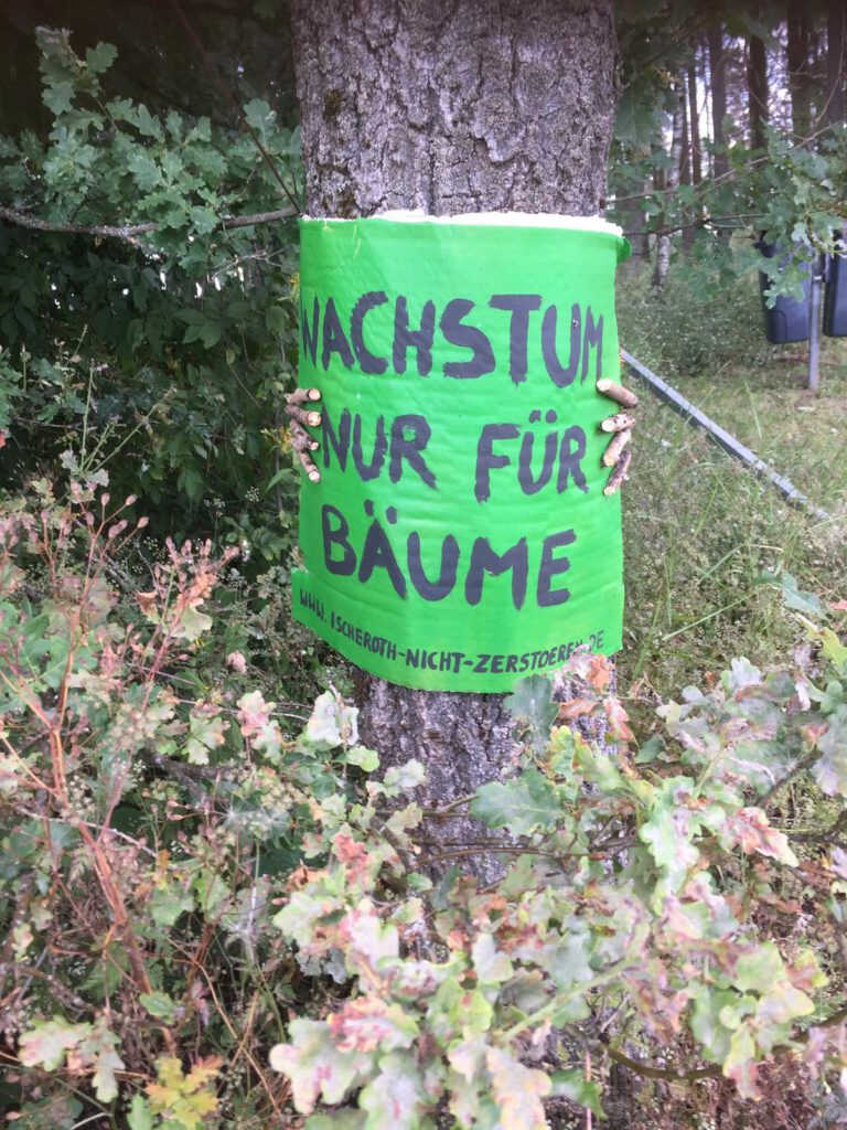 Grüne loben Verzicht der SPD auf Gewerbegebiet am Ischeroth