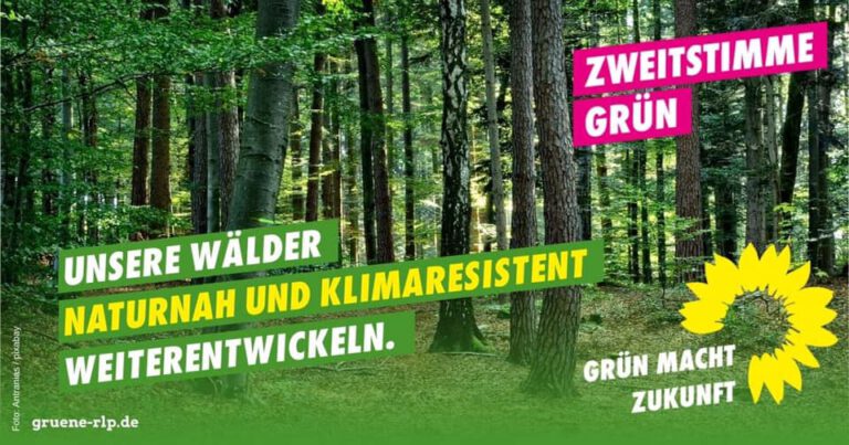 SAMSTAG, 11. SEPTEMBER 2021 VON 14:00 BIS 16:00: Freudenberger Grüne laden zu Waldwanderung ein